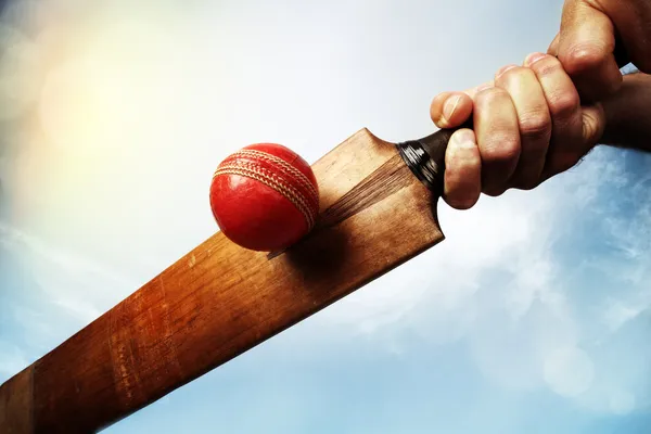 The Role of Cricket in Promoting Literacy: Education Initiatives Through Sport