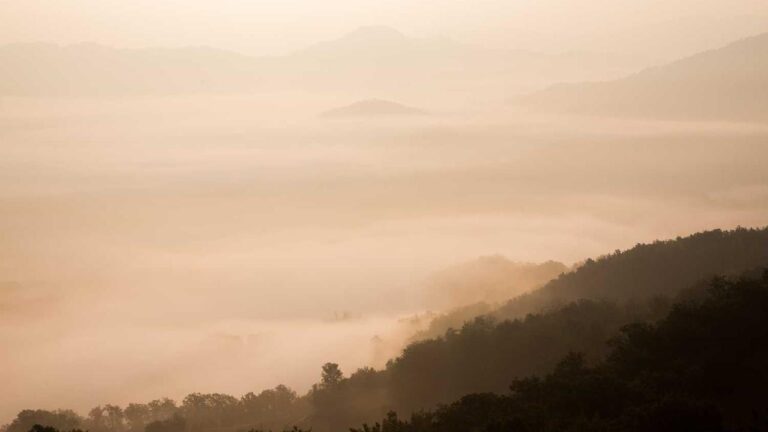 Where Can I Find The 11Xplay App Download Link?