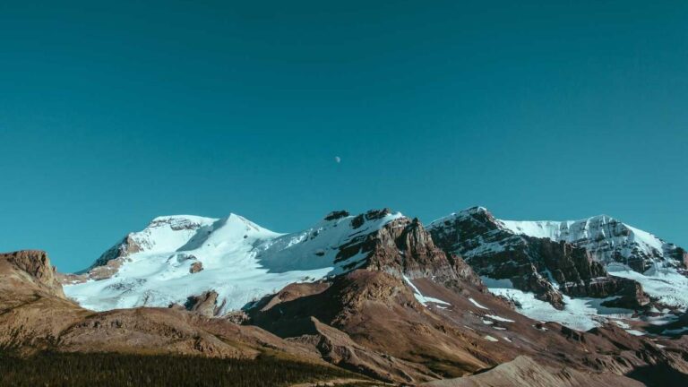 How Do You Use The Aviator Feature In 99 Exch?