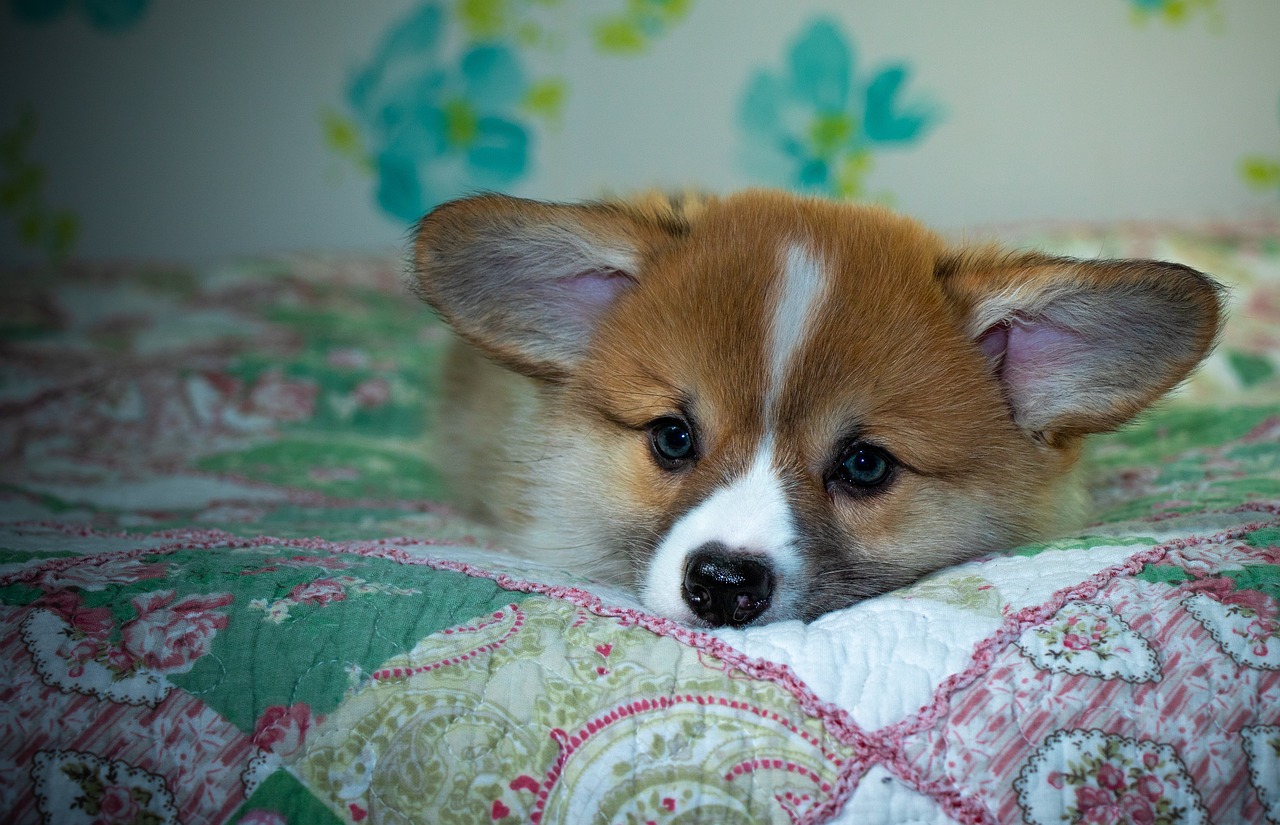 99exch Review: How India’s Emerging Trading Platform Is Shaping Digital Commerce