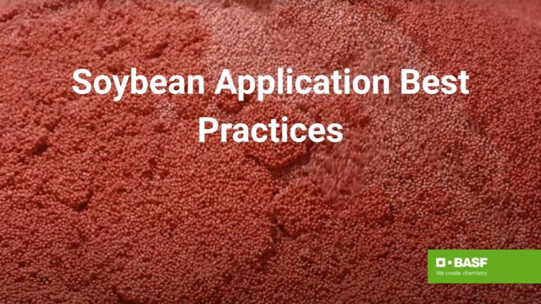 Reddy Book Win: Complete Guide to Registration, Benefits, and Winning Strategies